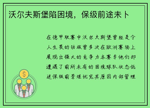 沃尔夫斯堡陷困境，保级前途未卜